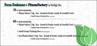 El Broşürü Tasarımı