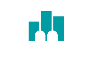 Şehir Üniversitesi
