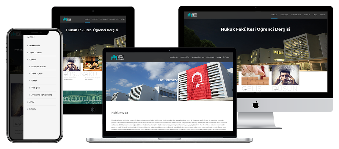 Şehir Üniversitesi